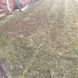 Photo #4: Complete Lawn Care and Snow Removal.