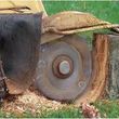 Photo #4: Tree Stump Removal  Stump Grinding Cheap