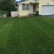 Photo #13: aeration @ $40. Leaf removal
