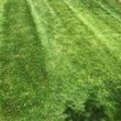 Photo #17: aeration @ $40. Leaf removal