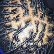 Photo #10: Locs Dreads Retwist