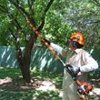 Photo #2: CLEAN UP'S SPRINKLES TREE TRIMMER