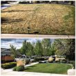 Photo #7: Fall Leaf Clean Up/Yard Maintenance/Landscaping