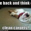 Photo #11: CARPET CLEANING FALL 