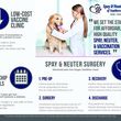 Photo #1: LOW COST: SPAY | NEUTER | VACCINES
