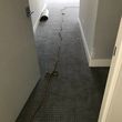 Photo #4: Carpet installer