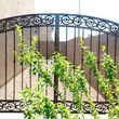 Photo #19: \\**//wrought ironworks fences windows bars security doors iron gates