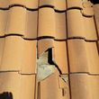 Photo #2: Discount Roofing of Nevada LLC