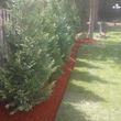 Photo #5: Green Apple Landscaping & Tree Service