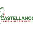 Photo #1: Castellanos Landscaping Services LLC