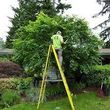 Photo #11: Diego'S Tree Services & Landscaping