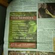 Photo #16: Diego'S Tree Services & Landscaping