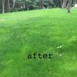 Photo #11: FALL CLEAN UP  AND  LAWN MOWING