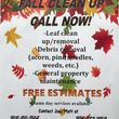 Photo #1: Fall leaf clean ups and removal