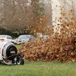 Photo #3: Fall leaf clean ups and removal