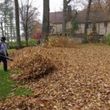Photo #4: Fall leaf clean ups and removal
