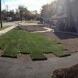 Photo #8: Alpha Lawn & Garden 