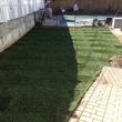 Photo #19: Alpha Lawn & Garden 