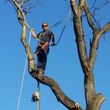 Photo #24: Barvosas's Tree service & landscaping