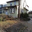 Photo #3: Removal, cut branches, remove downed branches, land clearings