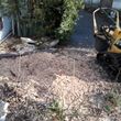 Photo #9: Removal, cut branches, remove downed branches, land clearings