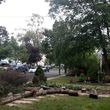 Photo #22: Removal, cut branches, remove downed branches, land clearings