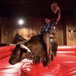 Photo #1: Mechanical bull RENTAL