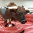 Photo #2: Mechanical bull RENTAL