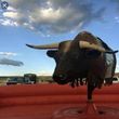 Photo #3: Mechanical bull RENTAL