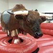 Photo #5: Mechanical bull RENTAL
