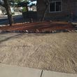 Photo #7: Landscaping concrete trash removal