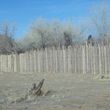 Photo #6: Coyote fence, ranch fence and shelters