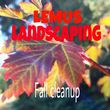 Photo #1: LEMUS LANDSCAPING