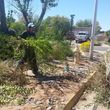 Photo #3: LEMUS LANDSCAPING