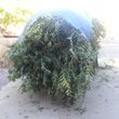 Photo #4: LEMUS LANDSCAPING