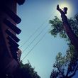 Photo #1: Furlong's Tree Service. 