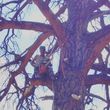 Photo #4: Furlong's Tree Service. 