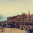 Photo #2: Miller & Miller Logging And Land Clearing
