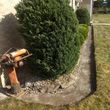 Photo #2: Cultured landscaping 