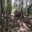 Photo #2: land clearing/brush hogging/dirt work/forestry mulching