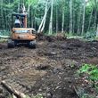 Photo #5: land clearing/brush hogging/dirt work/forestry mulching