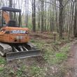 Photo #10: land clearing/brush hogging/dirt work/forestry mulching