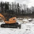 Photo #11: land clearing/brush hogging/dirt work/forestry mulching