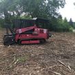 Photo #12: land clearing/brush hogging/dirt work/forestry mulching