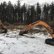 Photo #13: land clearing/brush hogging/dirt work/forestry mulching
