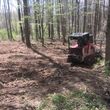 Photo #14: land clearing/brush hogging/dirt work/forestry mulching