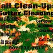 Photo #1: Leaf Removal & Property Clean Up