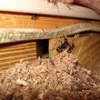 Photo #6: KB's Pest &Termite Control  