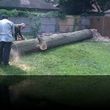 Photo #2: TREE (removal) & FALL CLEAN UP / LOWEST RATES