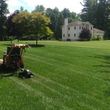 Photo #11: MV Landscaping (lawn mowing , hedge trimming, shrubs trimming)